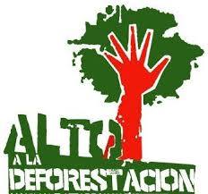 Alto a la desforestación