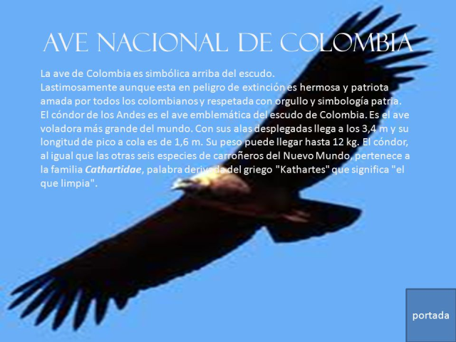 LEE 124 cEl Condor ave nacional de Colombiua