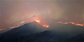 LEE 131 Incendios forestales.jpg 2